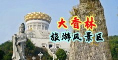 啊……好大淫乱3D视频中国浙江-绍兴大香林旅游风景区